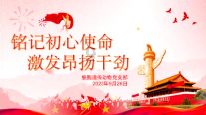 熬夜的伤害不可逆，这届年轻人熬夜都在干什么？游戏画面